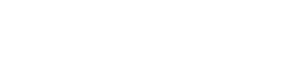 公園での楽しみ方は人それぞれ